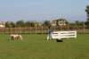 img_6599_small.jpg