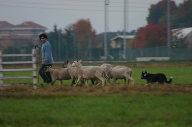 img_6734.jpg