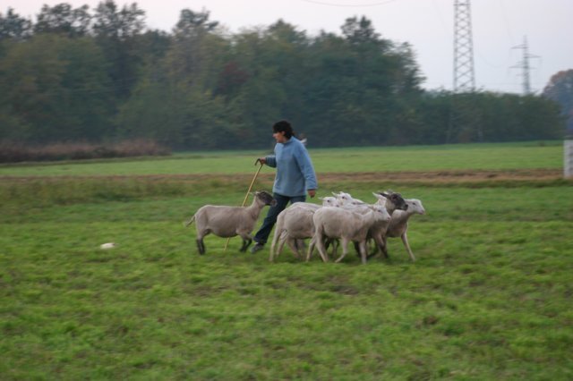 img_6738.jpg