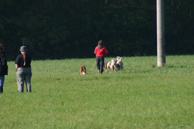 img_6743.jpg