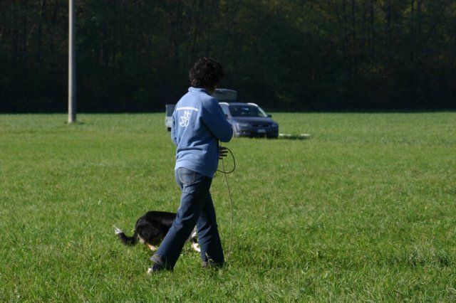img_6746.jpg