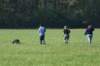 img_6748_small.jpg
