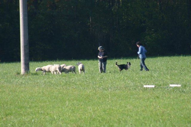 img_6753.jpg