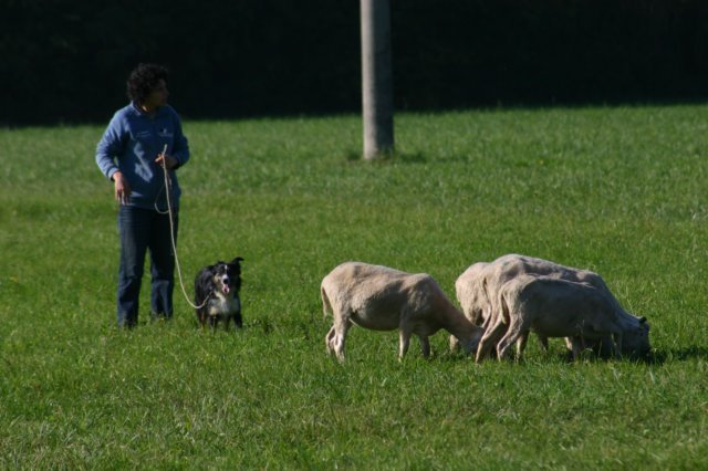 img_6758.jpg