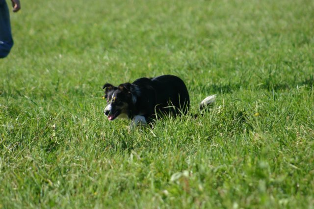 img_6770.jpg