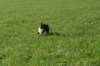 img_6775_small.jpg