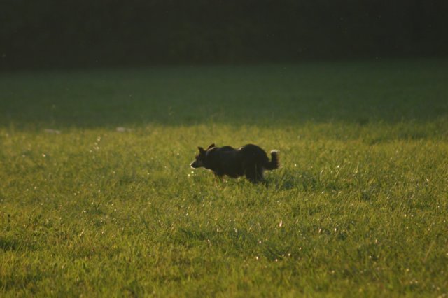 img_6786.jpg