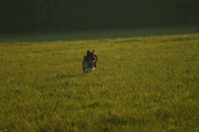 img_6790.jpg
