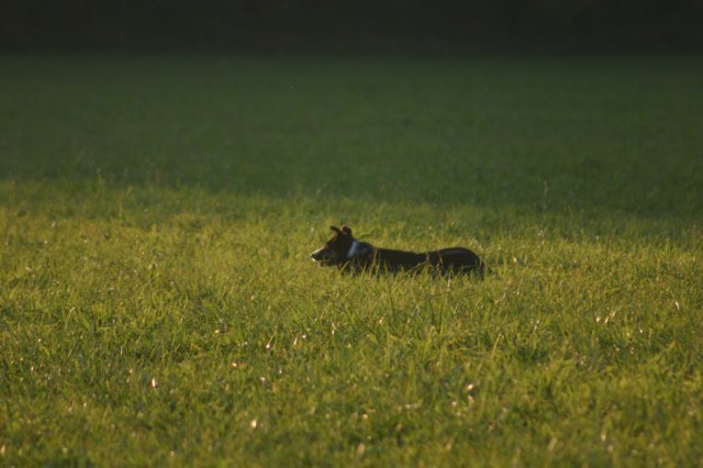 img_6800.jpg