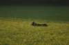 img_6800_small.jpg