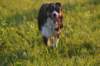 img_6814_small.jpg