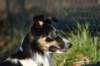 img_6824_small.jpg