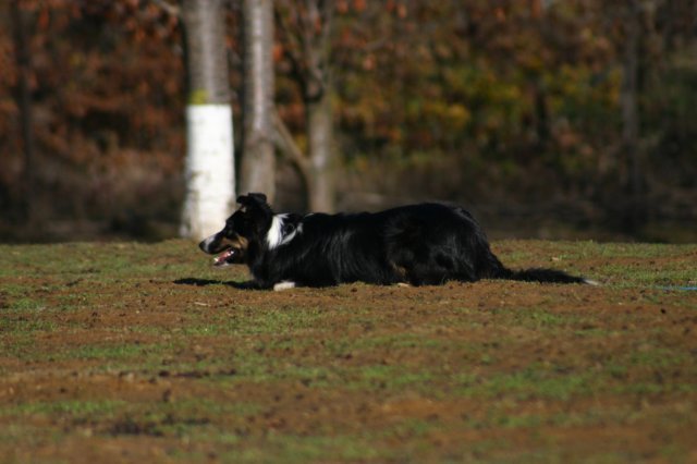 img_6831.jpg
