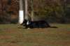 img_6831_small.jpg