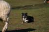 img_6832_small.jpg