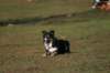 img_6833_small.jpg