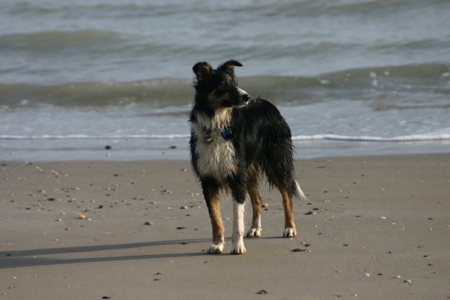 img_6947.jpg