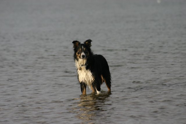 img_6950.jpg