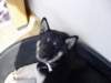 jerry021_jpg_small.jpg
