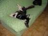 jerry047_jpg_small.jpg