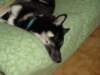 jerry048_jpg_small.jpg