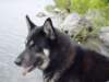 jerry054_jpg_small.jpg