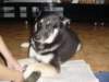 jerry055_jpg_small.jpg