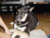 jerry056_jpg_small.jpg