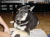 jerry057_jpg_small.jpg