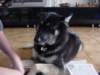 jerry058_jpg_small.jpg