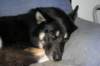 jerry059_jpg_small.jpg