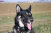 jerry060_jpg_small.jpg