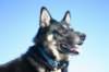 jerry062_jpg_small.jpg