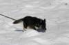 jerry066_jpg_small.jpg