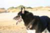 jerry072_jpg_small.jpg