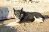 jerry073_jpg_small.jpg