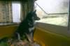 jerry075_jpg_small.jpg