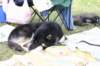 jerry079_jpg_small.jpg