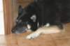 jerry084_jpg_small.jpg