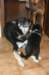 jerry085_jpg_small.jpg