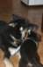 jerry086_jpg_small.jpg