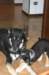 jerry087_jpg_small.jpg