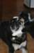 jerry088_jpg_small.jpg