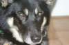 jerry093_jpg_small.jpg