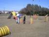 cimg0253_jpg_small.jpg