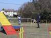 cimg0255_jpg_small.jpg