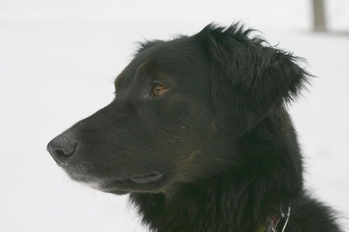 crw_1656_rj_jpg.jpg