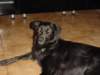 dsc00005_jpg_small.jpg