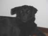 dsc000061_jpg_small.jpg