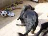 dsc00006_jpg_small.jpg